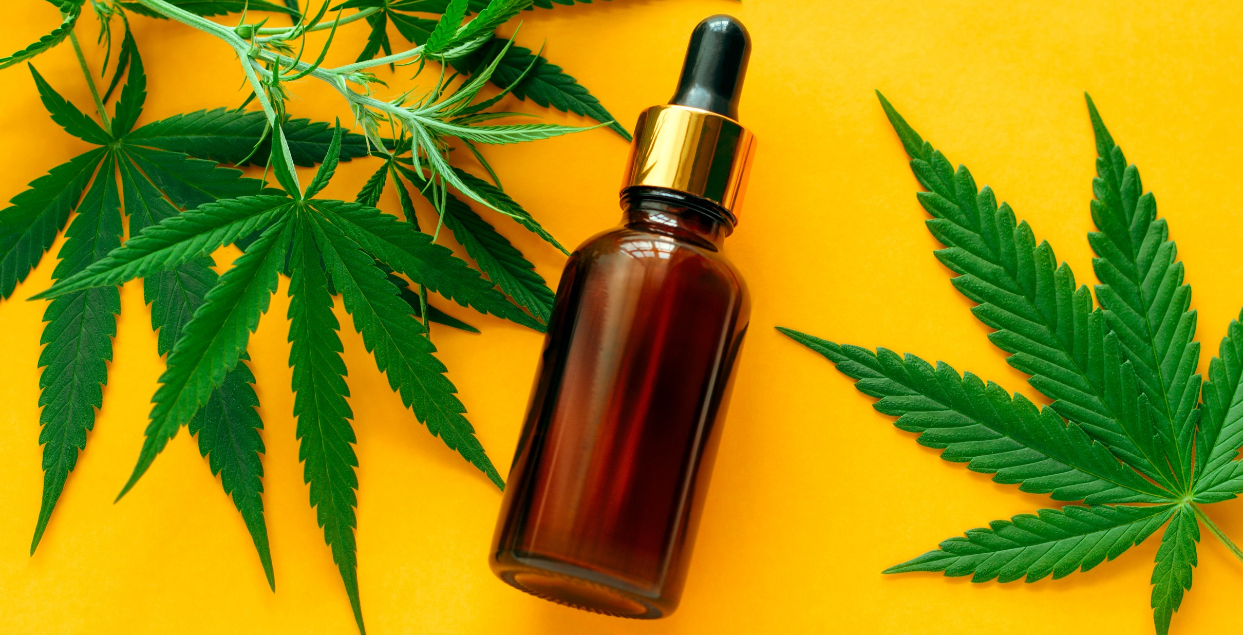 marijuana leaves and extract bottle